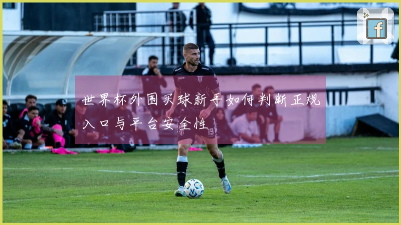 世界杯外围买球新手如何判断正规入口与平台安全性