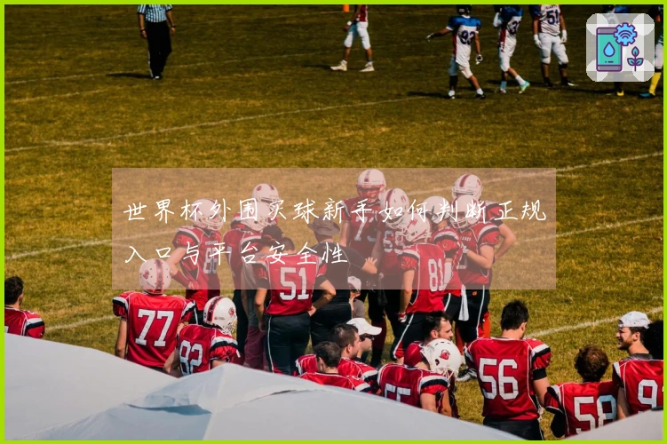 世界杯外围买球新手如何判断正规入口与平台安全性