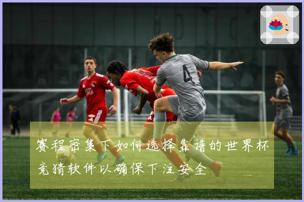 赛程密集下如何选择靠谱的世界杯竞猜软件以确保下注安全