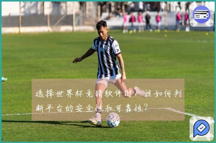 选择世界杯竞猜软件时，该如何判断平台的安全性和可靠性？